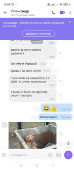 Screenshot_2024-06-29-12-08-58-693_com.viber.voip.webp